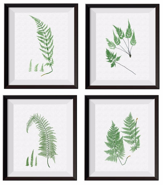 4 pcs Print Set Garden Plants Nature Printed Fern Leaf Nature and Plant Wall Decor M007 - Aprilskys Workshop